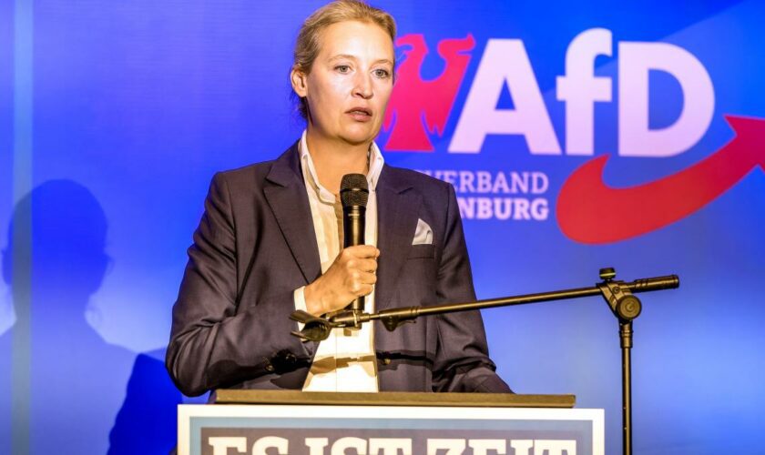 Weidel fordert Neuwahlen und Grenzzäune – und erntet Applaus