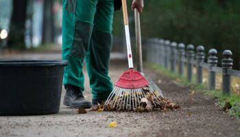 Einkommensverteilung: Rund 15 Prozent der Arbeitnehmer sind Niedriglohnempfänger