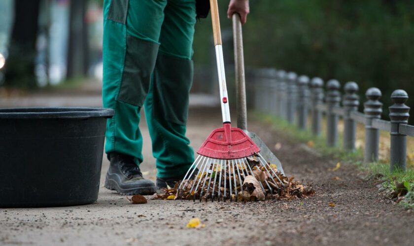 Einkommensverteilung: Rund 15 Prozent der Arbeitnehmer sind Niedriglohnempfänger