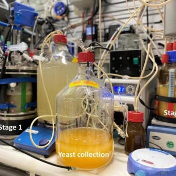 How researchers are turning carbon dioxide into protein and vitamins