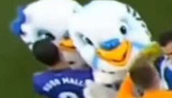 Mallo, on the left of the pic, is seen approaching the mascot at the time of the assault.