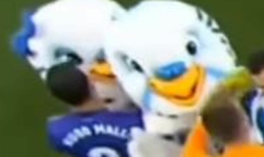 Mallo, on the left of the pic, is seen approaching the mascot at the time of the assault.