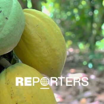 Cacao connexion : Côte d'Ivoire, Guinée, Liberia… Enquête sur le trafic de "l’or brun"