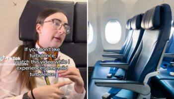 Flight attendant goes viral on TikTok for attempting to ease common flying fear