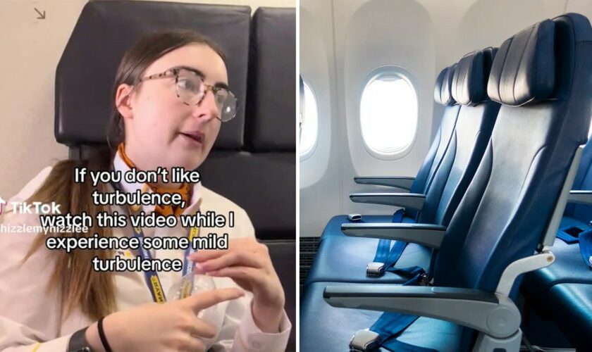 Flight attendant goes viral on TikTok for attempting to ease common flying fear