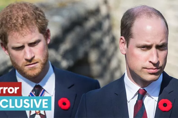 Hidden reason Prince William 'cut ties' with Prince Harry revealed by expert