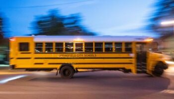 Springfield: Bombendrohung gegen Schulen nach Trumps Haustierbehauptung