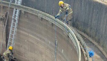 Cat stuck in 10-metre-deep tank at sewage plant rescued