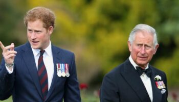 Royals won't 'trust' Prince Harry again amid 'fractured' relationship, expert claims