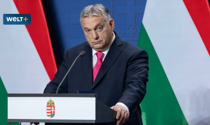 Halb Europa boykottiert Orbán – und blockiert sich damit selbst