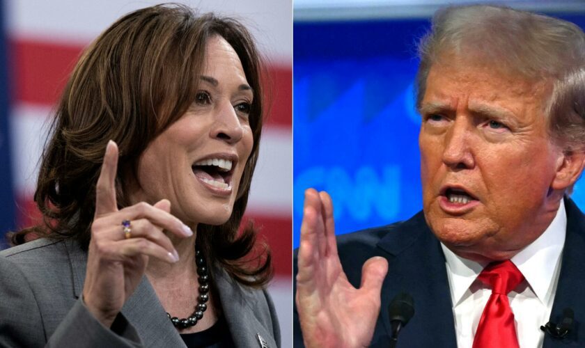 Pour le pape François, Kamala Harris et Donald Trump sont tous les deux « contre la vie »