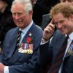 Prince Harry to receive olive branch from King Charles with huge gesture on his birthday