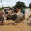 Birmanie : la junte se résout à demander de l’aide étrangère après les inondations meurtrières