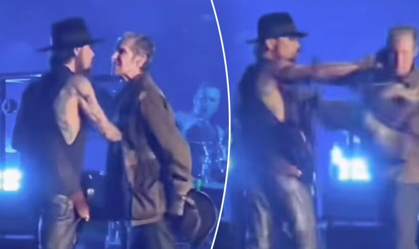 Jane's Addiction's Perry Farrell punches guitarist Dave Navarro onstage, shutting down concert