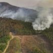 Le Brésil continue de lutter contre de nombreux incendies, aggravés par la pire sécheresse de son histoire