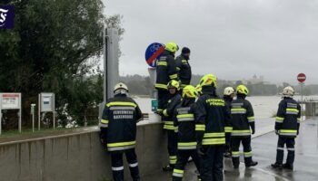 Österreich bereitet sich auf Donau-Hochwasser vor, wie es alle 15 Jahre auftritt