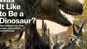 C’est comment, être un dinosaure ?