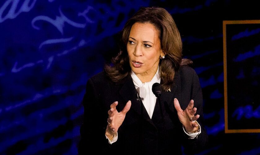 Undecided voters tell NYT they needed more from Kamala Harris in the debate: 'She still has to impress me'