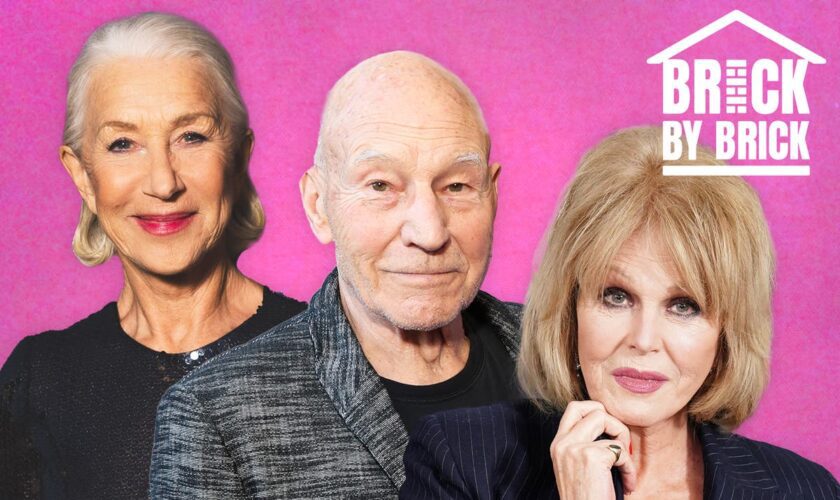 ‘Be a brick and buy a brick’: Joanna Lumley and Patrick Stewart lead support for The Independent’s campaign