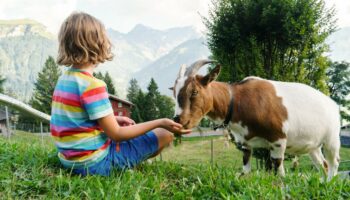 Wie gut klappt Urlaub im Familienhotel? Ein Test