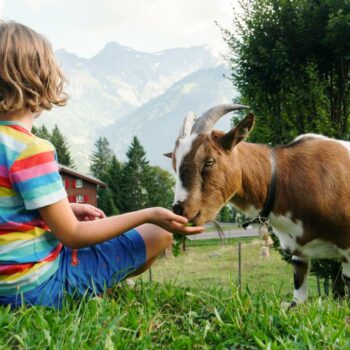 Wie gut klappt Urlaub im Familienhotel? Ein Test