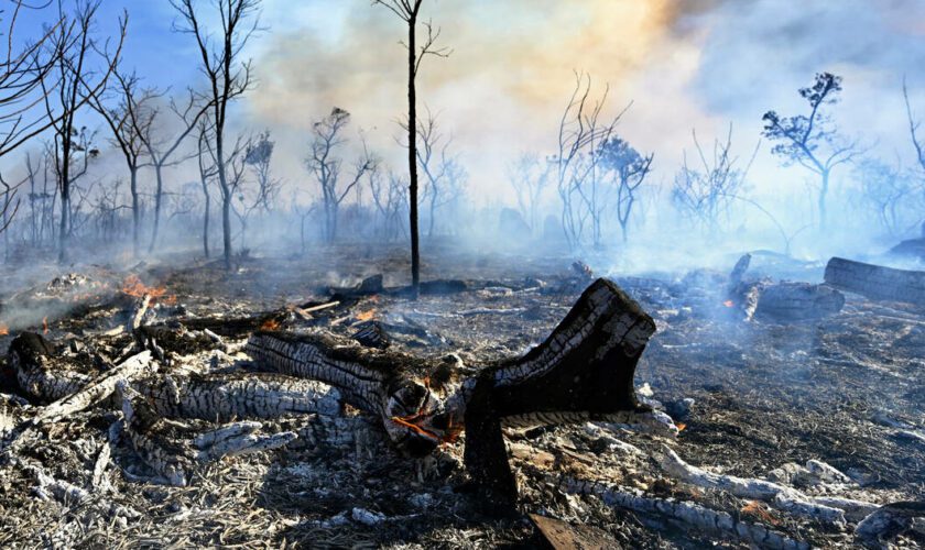 Au Brésil, le parc national de Brasilia touché à son tour par un incendie