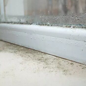 Cleaning fans explain 'brilliant' way to banish mould from window frames