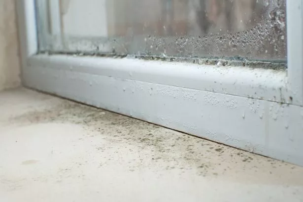 Cleaning fans explain 'brilliant' way to banish mould from window frames