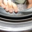 'Stomach-churning' cleaning hack exposes how dirty washing machines are