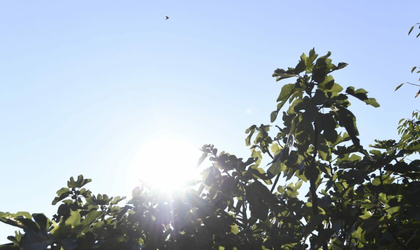 Météo : la chaleur revient, mais attention aux orages et à la pluie dès mercredi dans ces régions