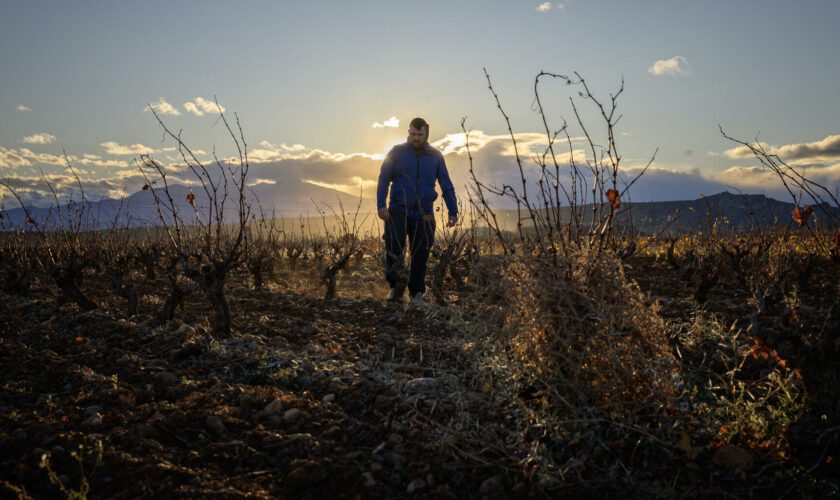 Malgré la météo pluvieuse, le risque de sécheresse cet automne n’est pas écarté partout en France