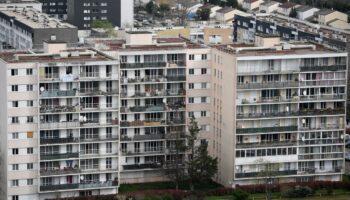 "Davos des banlieues" : "Quand vous venez d'un tel quartier, vous êtes dans l'obligation de créer"