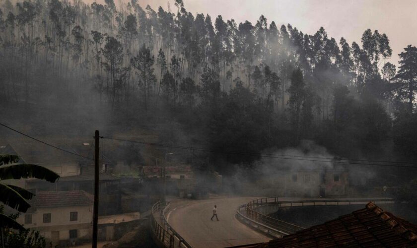 En proie à des feux de forêt, le Portugal dénombre sept morts et sollicite l’aide européenne