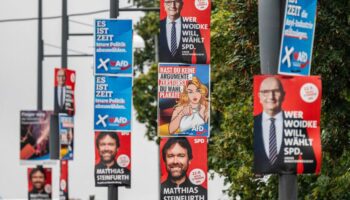 AfD führt in Umfrage vor SPD – Grüne landen bei vier Prozent