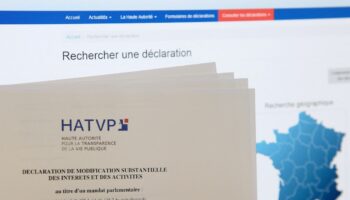 Une photo prise le 24 juillet 2014 montrant une déclaration d'intérêts à remplir sur le site de la Haute Autorité pour la transparence de la vie publique (HATVP).