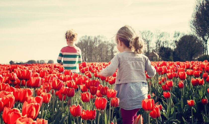 Finalement, être un enfant aux Pays-Bas n'est pas si cool qu'on ne le pense