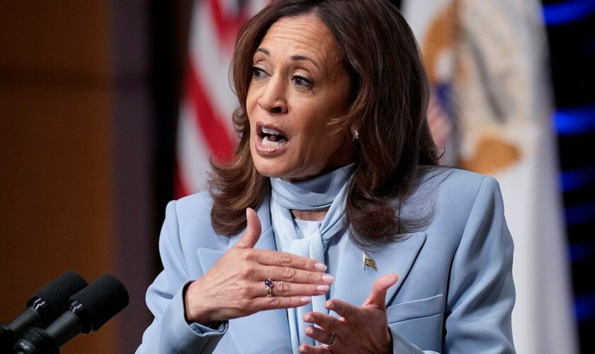 Harris serves up word salad in DC speech: 'The children of the community are the children of the community'