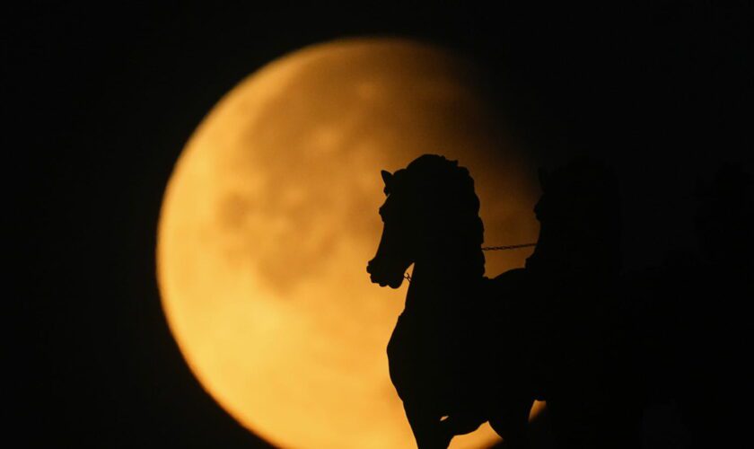 Éclipse lunaire : le spectacle en vidéo, à quelle date tombe la prochaine ?