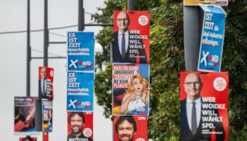 Vor der Wahl in Brandenburg: AfD in Umfragen vorn, Woidke kündigt Rücktritt bei AfD-Sieg an