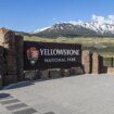 Una mujer sufre quemaduras en la pierna tras caer en agua hirviendo al caminar fuera de un sendero cerca del géiser Old Faithful en el Parque Yellowstone