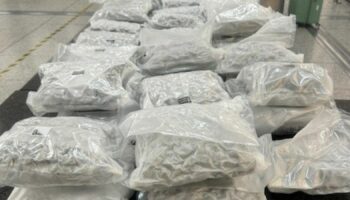 The cannabis seized at Stansted Airport. Pic: NCA