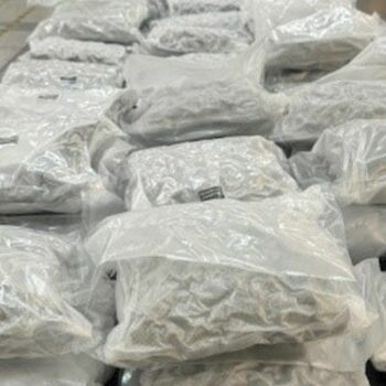 The cannabis seized at Stansted Airport. Pic: NCA