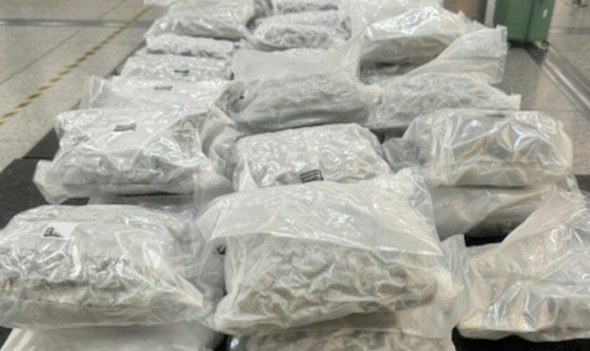 The cannabis seized at Stansted Airport. Pic: NCA