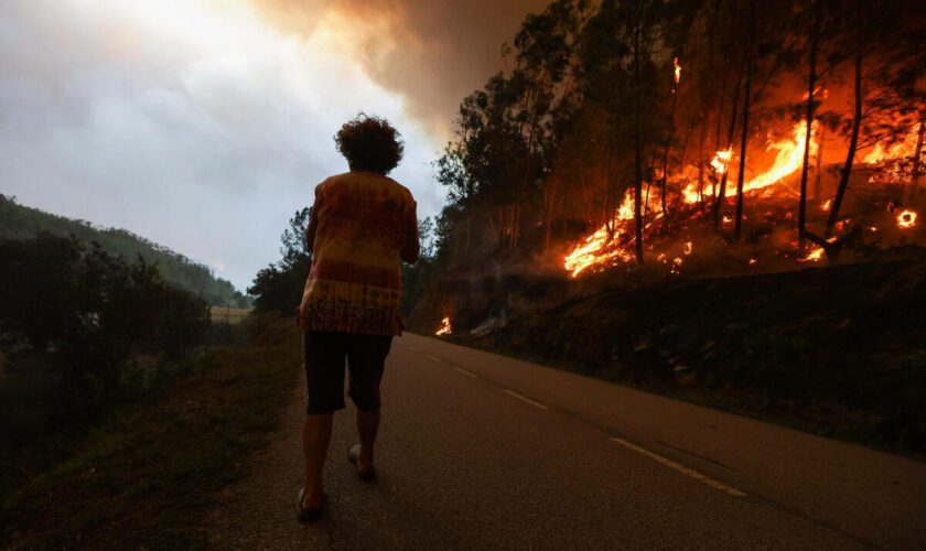 « Je n’ai jamais vu ça » : seaux à la main, des habitants victimes des incendies au Portugal témoignent