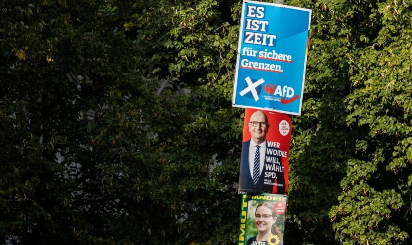 AfD führt in Umfrage, SPD holt auf – Grüne fallen unter Fünf-Prozent-Hürde