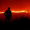 L’origine criminelle des incendies qui ravagent le Portugal, mythe ou réalité ?