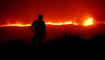 L’origine criminelle des incendies qui ravagent le Portugal, mythe ou réalité ?