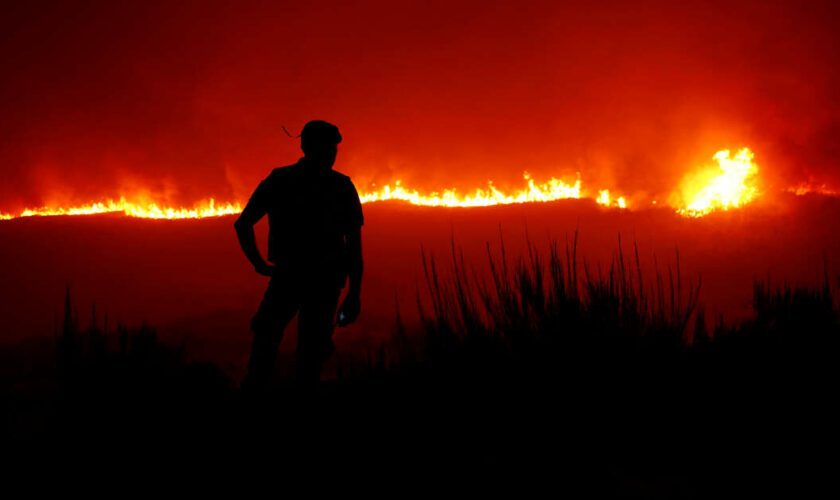 L’origine criminelle des incendies qui ravagent le Portugal, mythe ou réalité ?