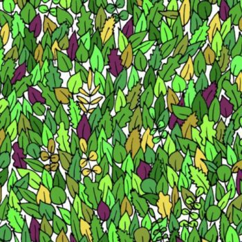 Suchbild: Augentest: Finden Sie den kleinen Frosch in 15 Sekunden?