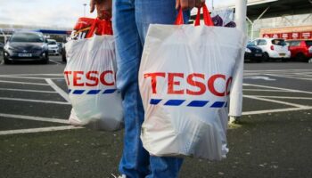 Tesco customer stunned when they see total at the till after yellow sticker hunting